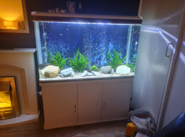 Monster aquatics tank