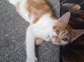 She is very affectionate and playful