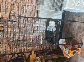 Lots of cages