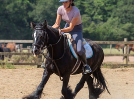 Bobby The Super Cobby!