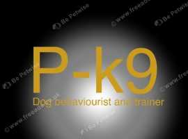 P-k9 dog trainer