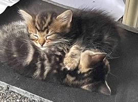 2 left boy and girl