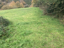 Grazing available in a few weeks
