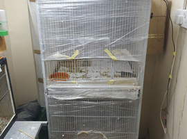 Bird cage