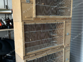 Budgie breeding cages