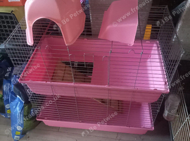 8 week old female baby rabbit with pink double cage and accessories