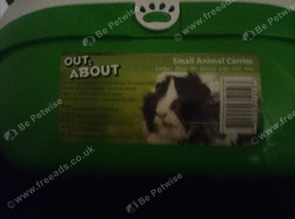Out and about small pet carrier (Green)