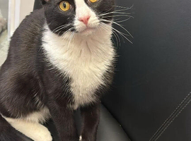 Jacob Looking For A New Home