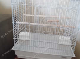 Bird cage