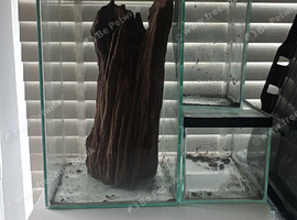 Custom glass invert tanks