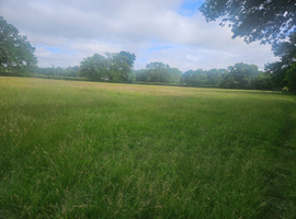 *newbury* 24/7 grazing available