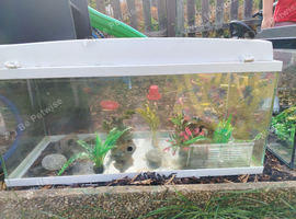 &pound;125 aquarium amazing set up ready to go collect it only