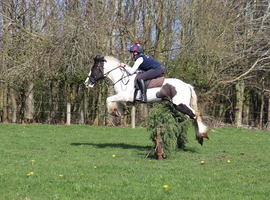 Super all round cob