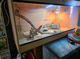 Full set up with all decorations and lighting.
