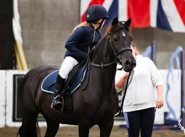 Ryndypandy Nola &ndash; Registered Welsh D