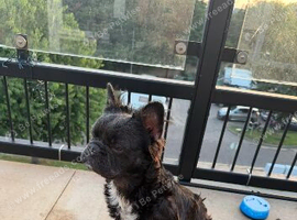 king in the making
