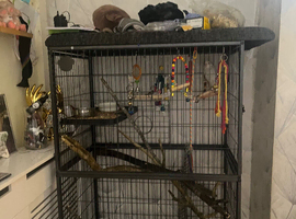 very large cage