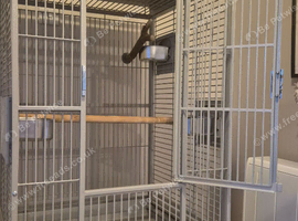 Large parrot/bird cage in amazing condition