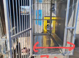 X large dog crate/kennel