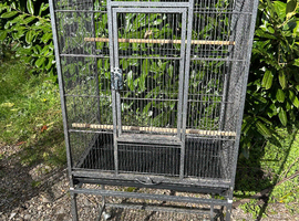 Large bird cage