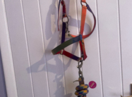 Headcollar