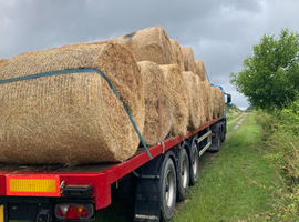 Hay - large bales