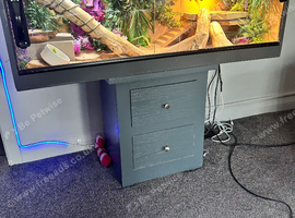 Bearded dragon and vivarium
