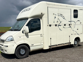 Vauxhall Movano 3.5t horse box