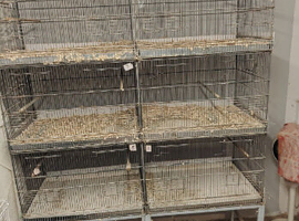 Cages