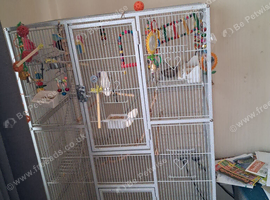 Large cage and a variety of toys for sale.