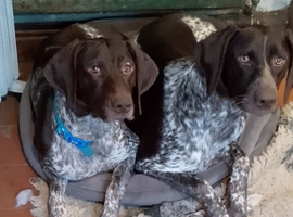 Two GSP sisters will split