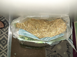 Edible hay