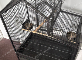 Large bird or small parrot cadge