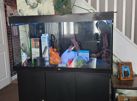 Juwel 350 litre full set up