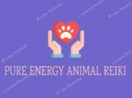 ANIMAL REIKI HEALING AVAILABLE READ ON..