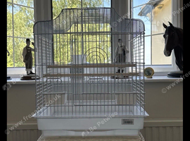 Beautiful White Bird Cage
