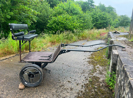 Hillam exercise cob cart