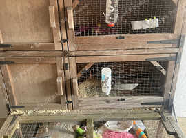 3 story cage
