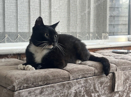 Meet Coco