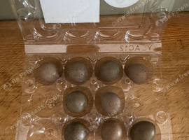 Button quail eggs