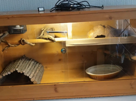 Reptile enclosure