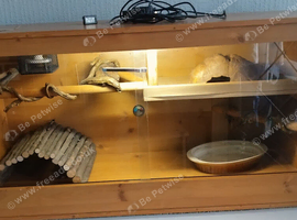 4ft complete reptile enclosure