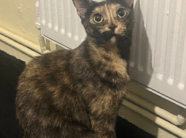 Tilly