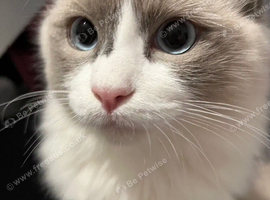 Beautiful boy