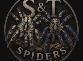 Tarantulas