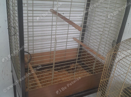 Parrot cage