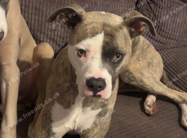 Vera 5 year old
