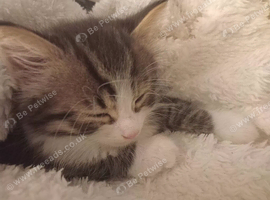 2 little girls left super tiny adorable