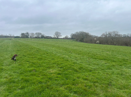 Livery space available
