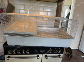 Pets at home Syrian hamster cage